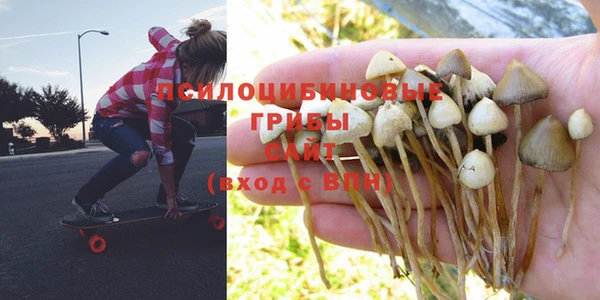бутират Абаза