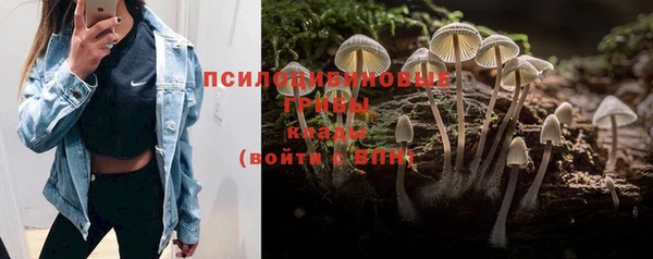 бутират Абаза